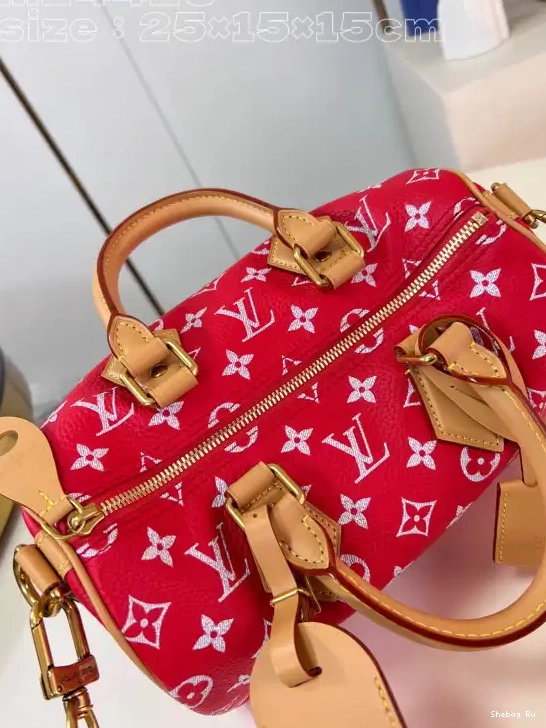 25 Vuitton Louis SPEEDY 0524